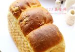 5ҺȫķѸ˾ͼƬ
