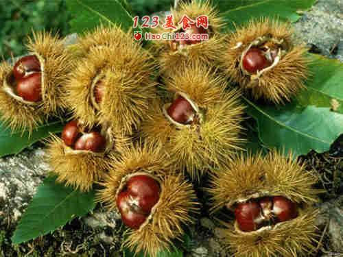 女人的十大早春美肤水果