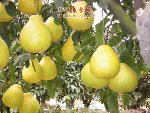 女人的十大早春美肤水果