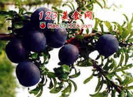 传授你时尚的"黑食"高招